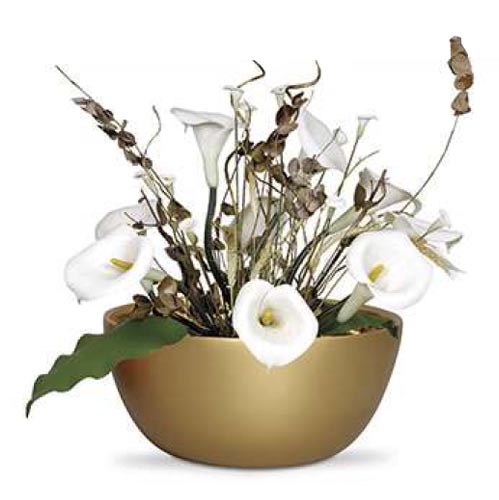 Burguina cod. 6017 - 0018